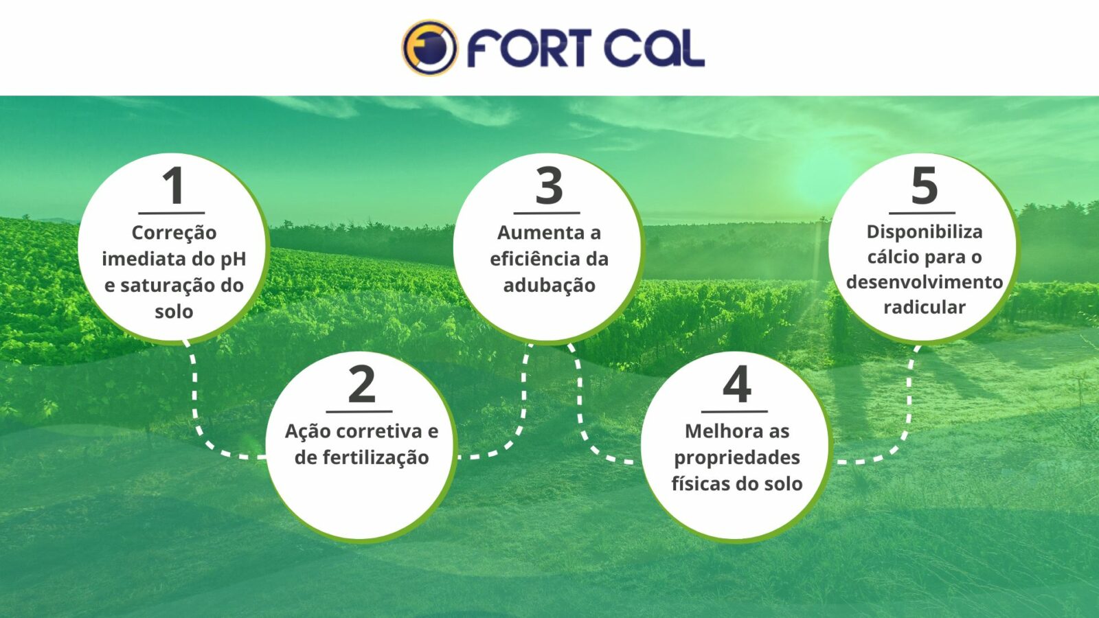Linha Agrícola - FORT CAL