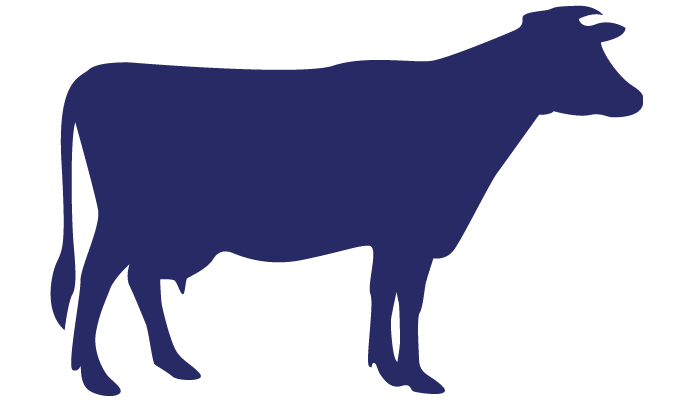 Linha Animal - FORT CAL