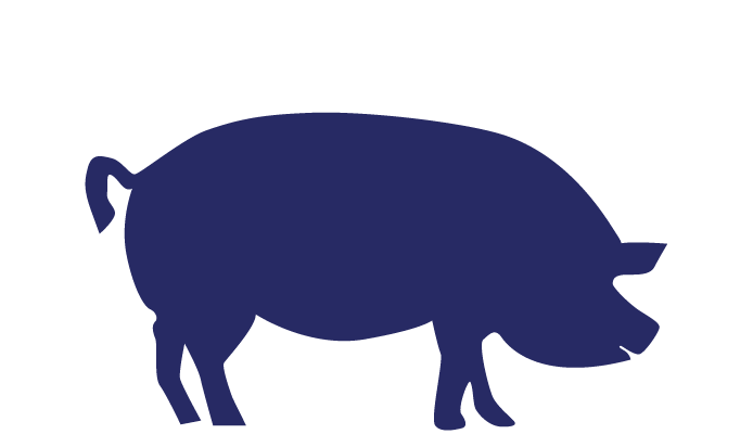 Linha Animal - FORT CAL